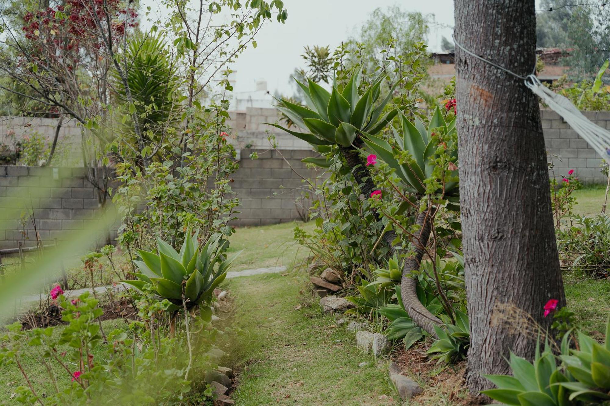Kinti Wasi Casa De Campo Hospedaje Los Banos del Inca Esterno foto